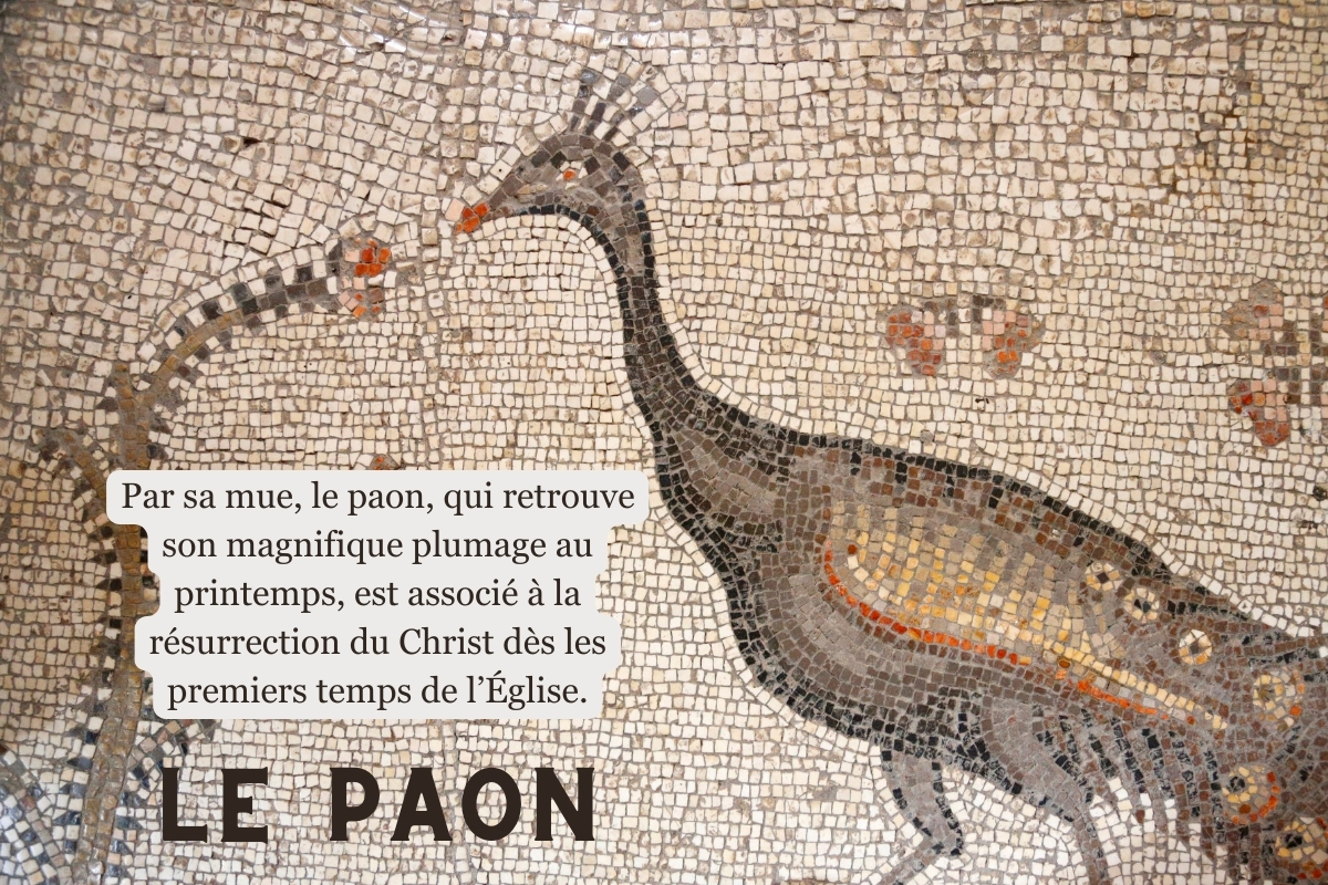 paon-Christ.jpg