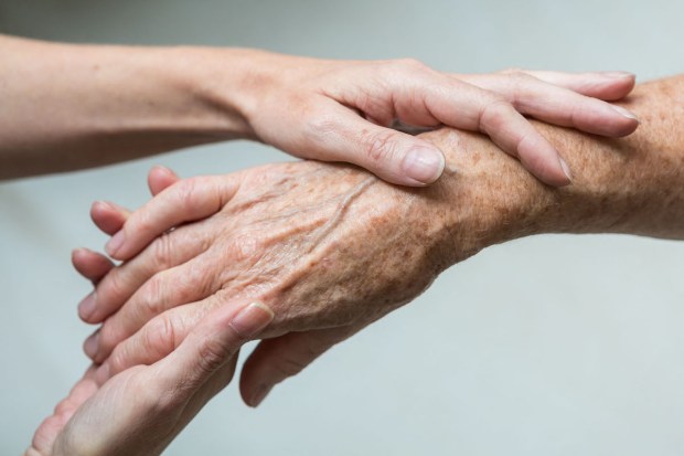 Hands