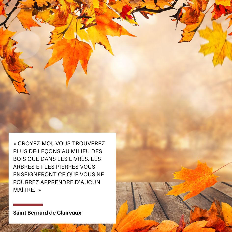 Citations des saints sur l'automne